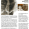 Clock DVA / Paolo Bertoni :: Second Sight :: Exceptional Feature and Review by Aldo Chimenti (Rockerilla, October 2025)